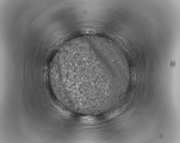 X0000093580511200711051120