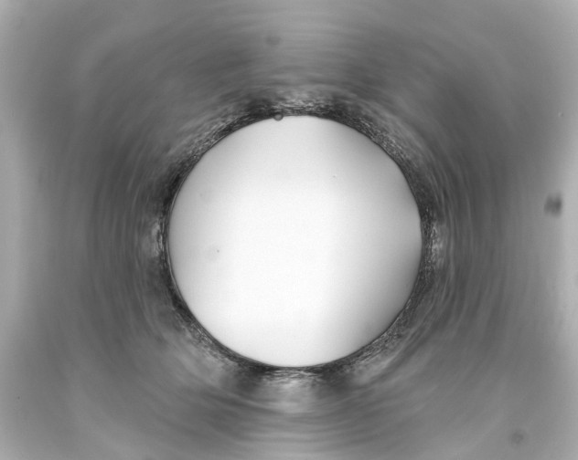 X0000093580514200711051120