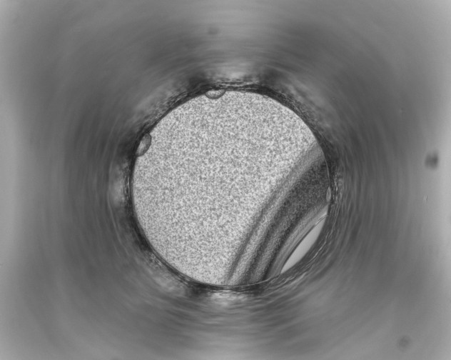 X0000093580515200711051120