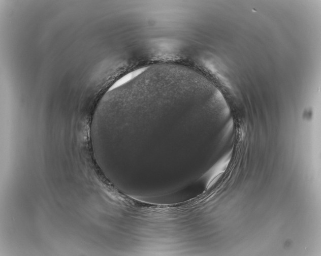 X0000093580517200711051120