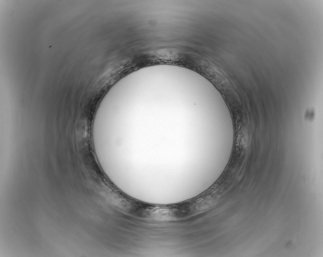 X0000093580518200711051120