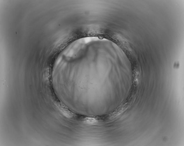 X0000093580519200711051120