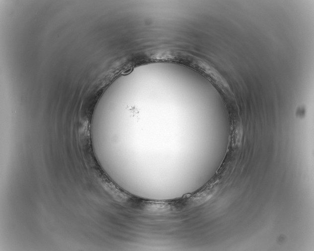 X0000093580521200711051120