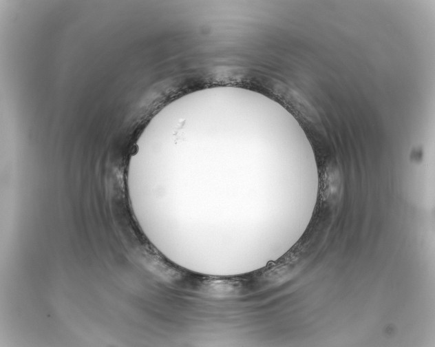 X0000093580522200711051120