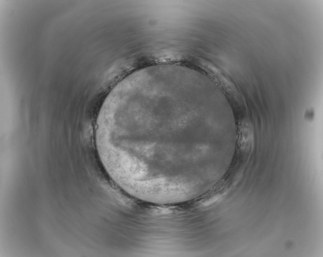 X0000093580523200711051120