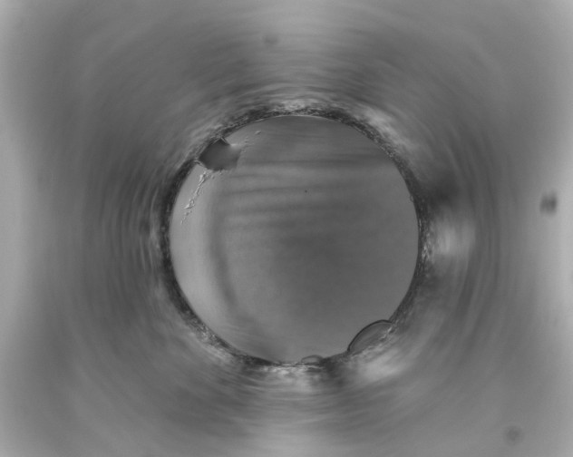 X0000093580524200711051120