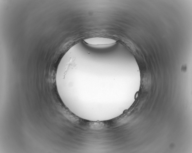 X0000093580525200711051120