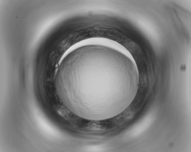 X0000093580526200711051120