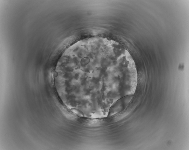 X0000093580527200711051120