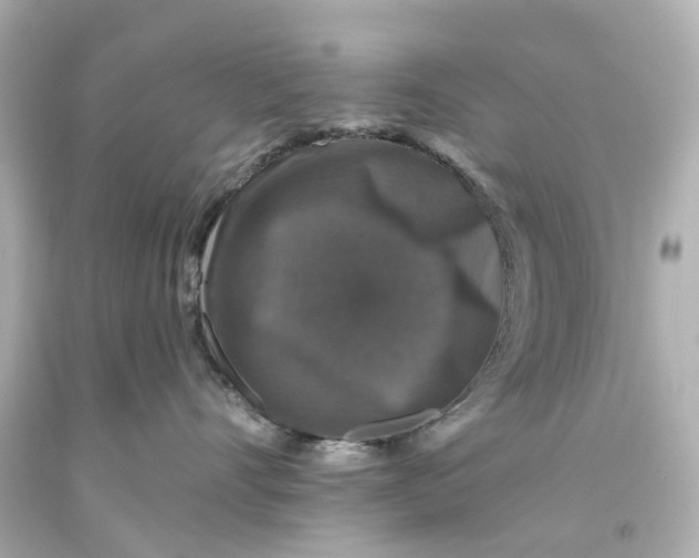 X0000093580528200711051120