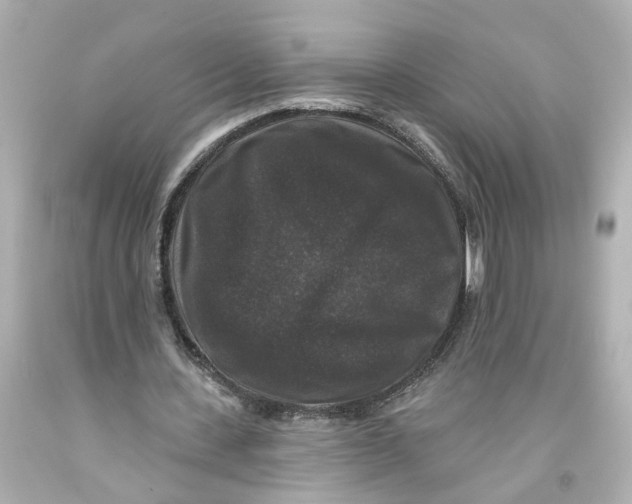 X0000093580531200711051119