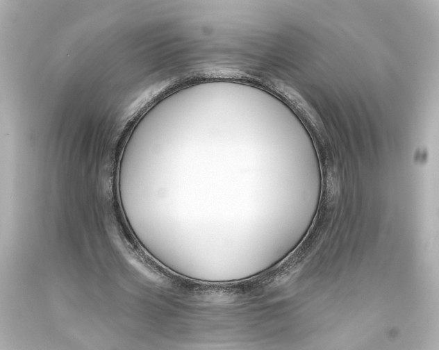 X0000093580533200711051119