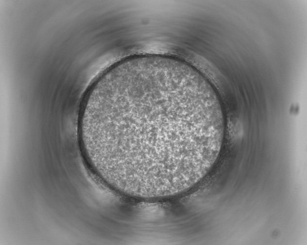 X0000093580534200711051119