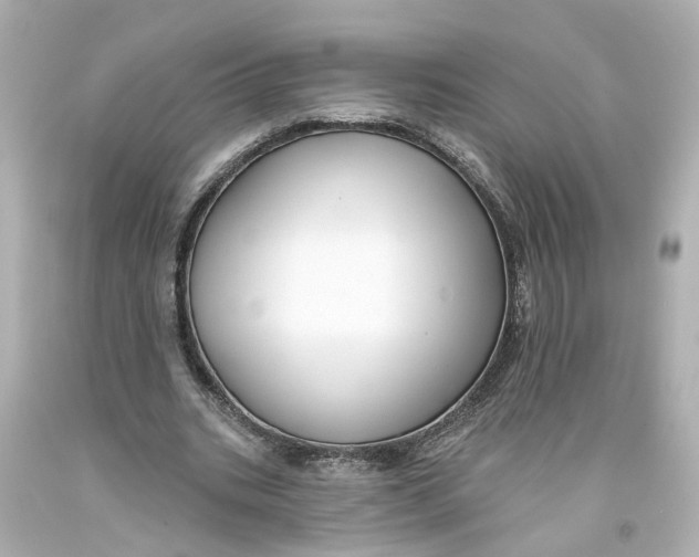 X0000093580535200711051119