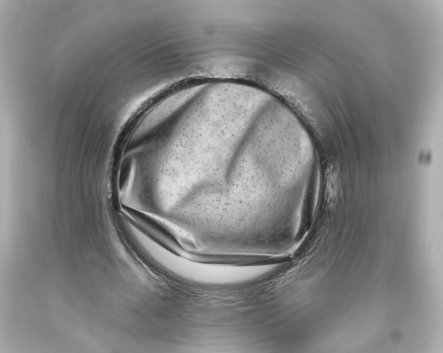 X0000093580536200711051119