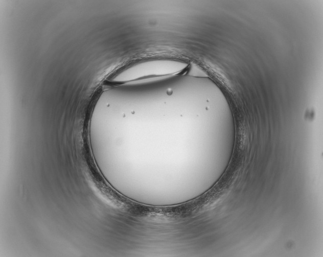 X0000093580538200711051119