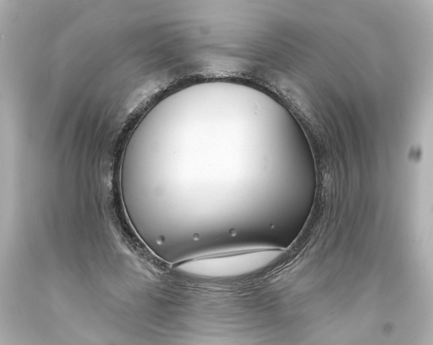 X0000093580539200711051119