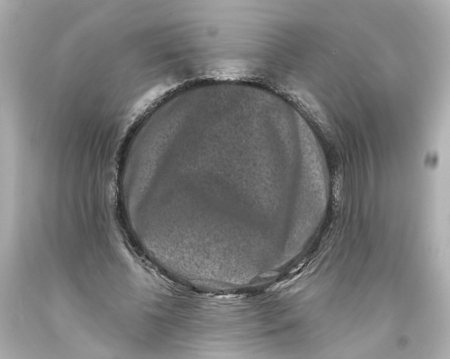 X0000093580540200711051120