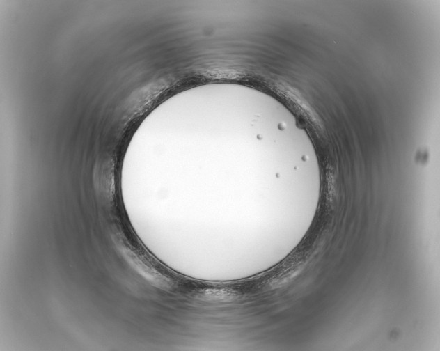 X0000093580541200711051120