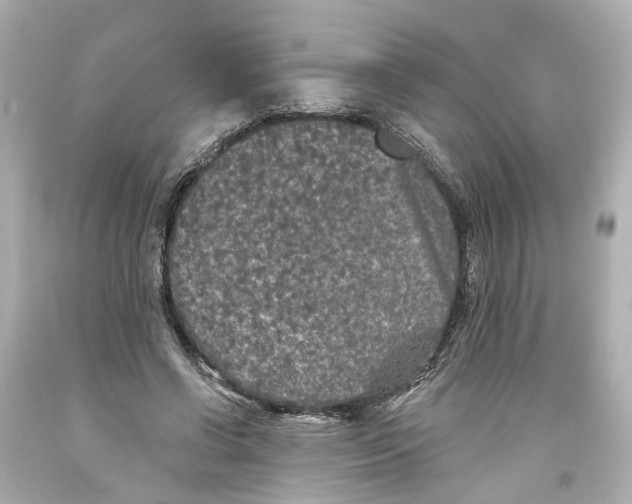 X0000093580542200711051120