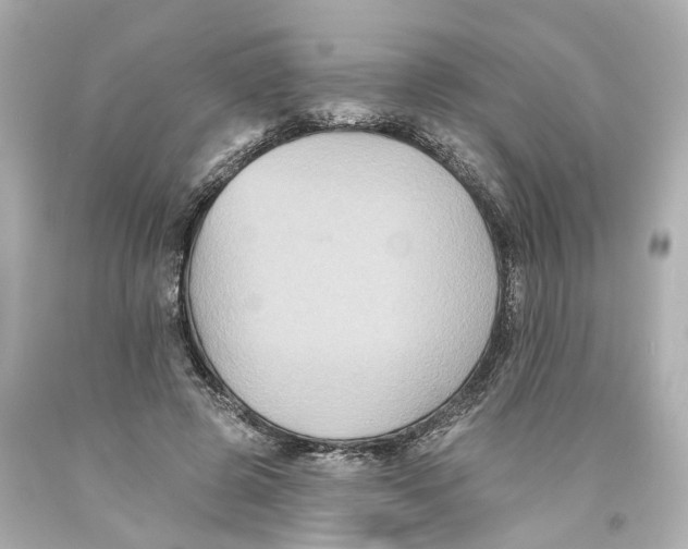 X0000093580545200711051120