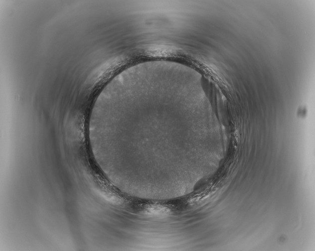 X0000093580547200711051120