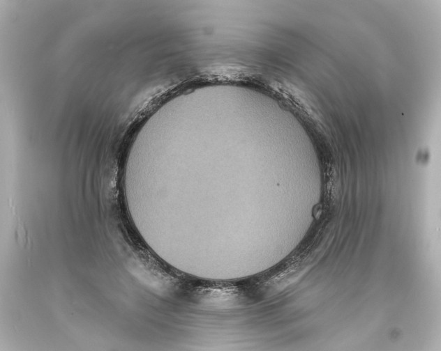 X0000093580548200711051120