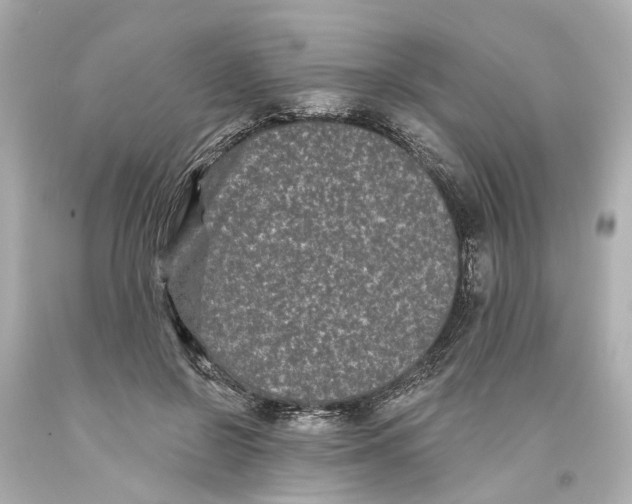 X0000093580550200711051120