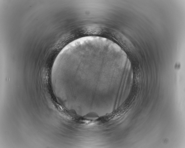 X0000093580551200711051120