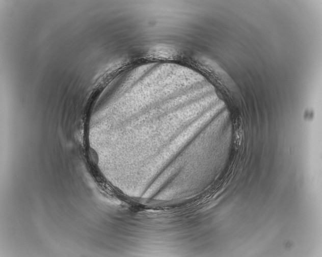 X0000093580552200711051120