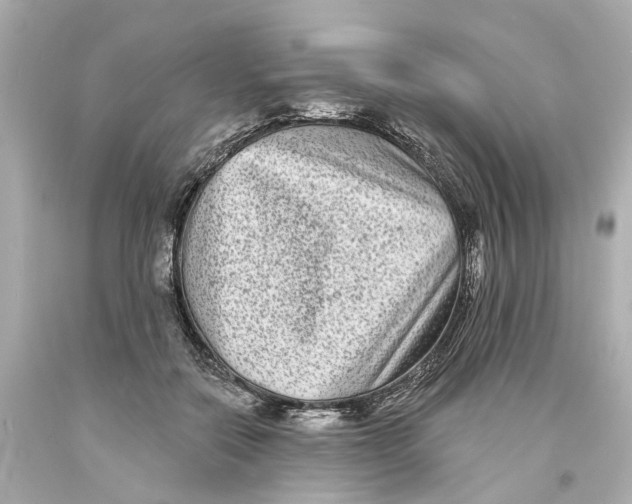 X0000093580554200711051120