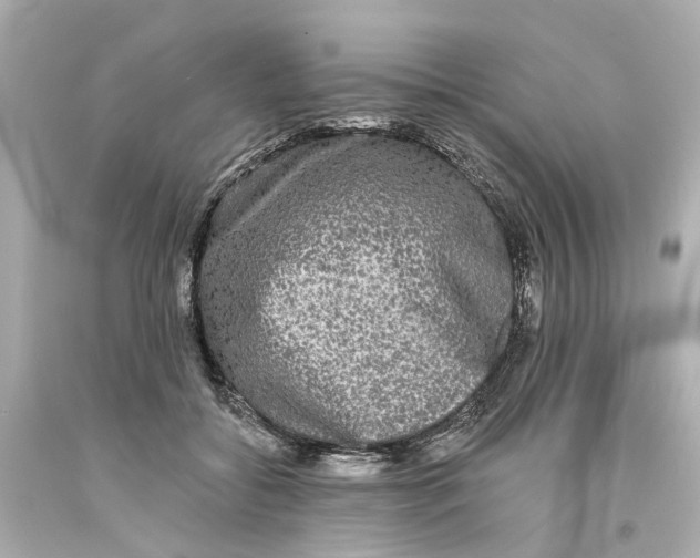 X0000093580556200711051120