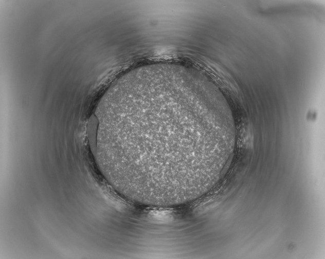 X0000093580560200711051120