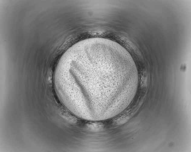 X0000093580561200711051120