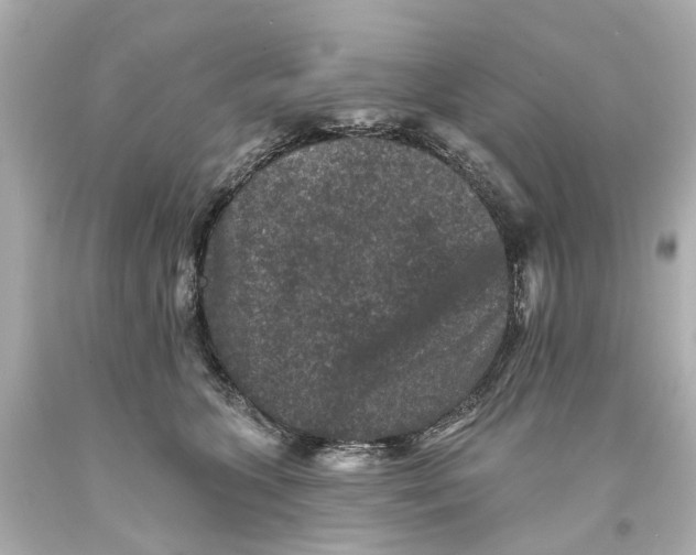 X0000093580563200711051120