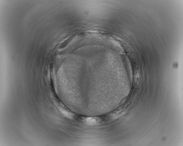 X0000093580566200711051120