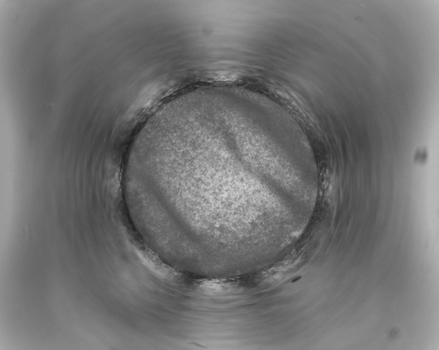 X0000093580568200711051120