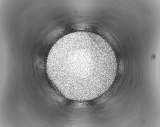 X0000093580569200711051120