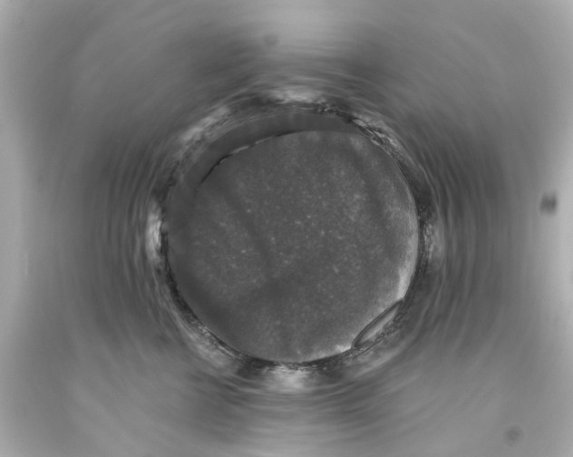 X0000093580570200711051120