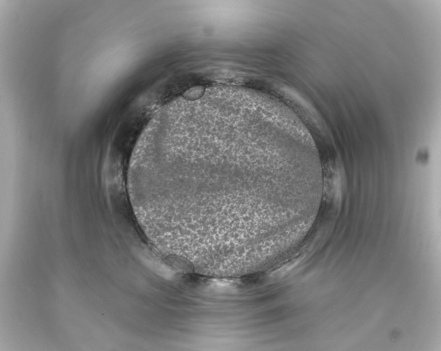 X0000093580573200711051120