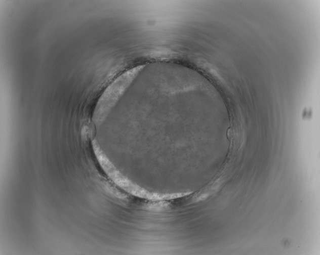 X0000093580576200711051120