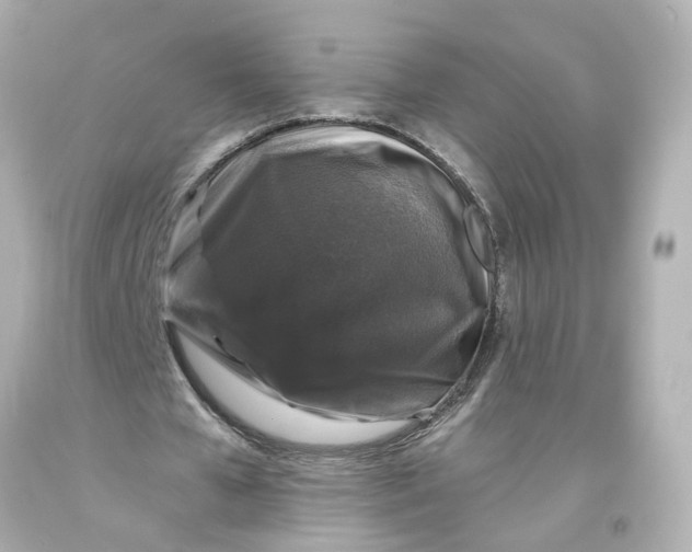 X0000093580577200711051119