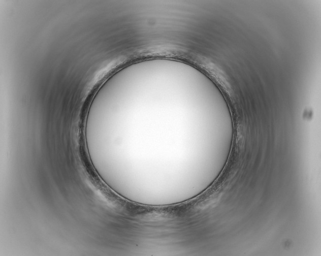 X0000093580578200711051119