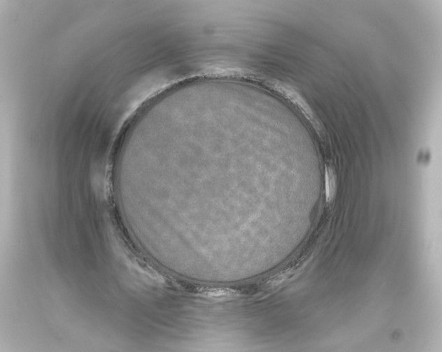 X0000093580579200711051119