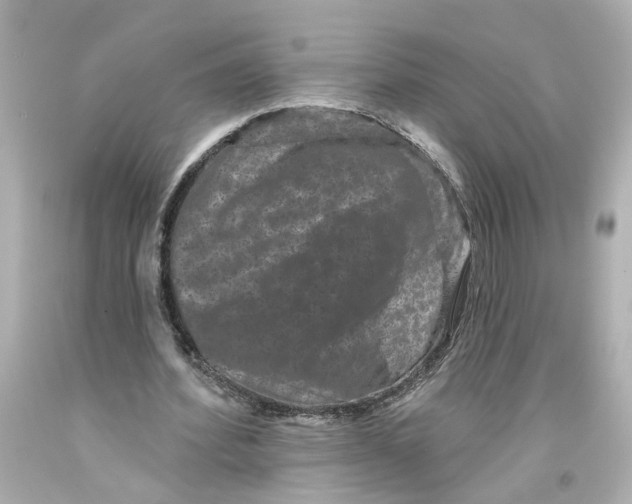 X0000093580580200711051119