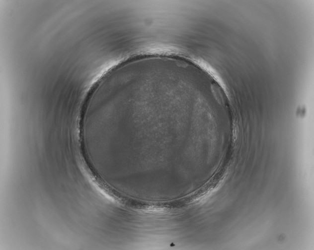 X0000093580581200711051119