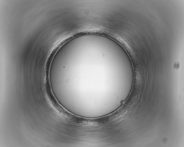 X0000093580582200711051119