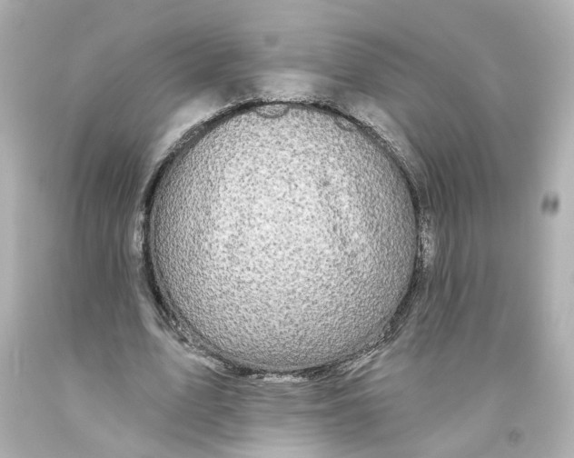 X0000093580583200711051119