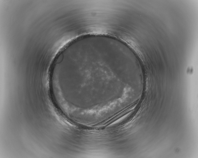 X0000093580584200711051119