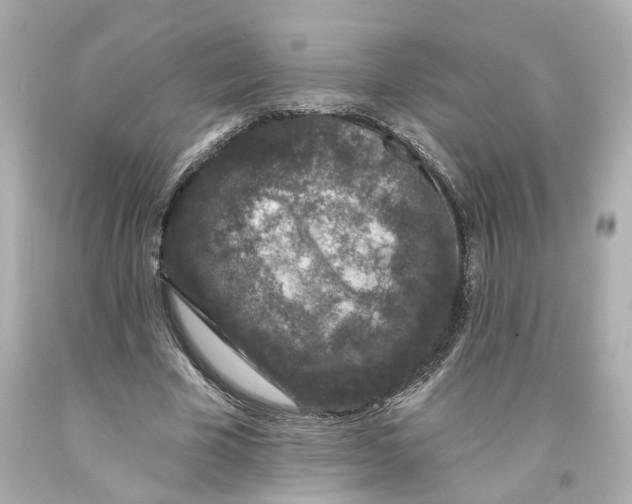 X0000093580585200711051119